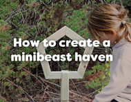 How to make a minibeast hotel