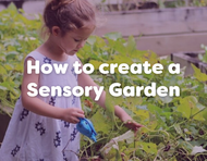 Sensory Gardens In Schools: How To Create One