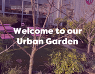 Welcome to our Office Garden!