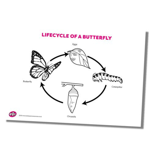 DOWNLOAD 58 - 0_1.jpg