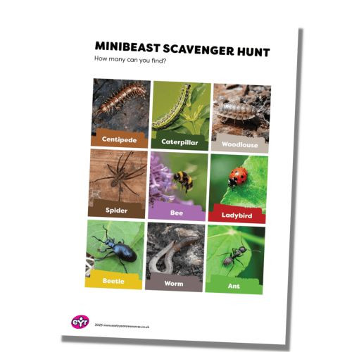 DOWNLOAD 295 - 0_1.jpg