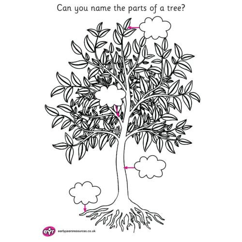 DOWNLOAD 603 - 0_1.jpg