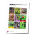 DOWNLOAD 295 - 0_1.jpg