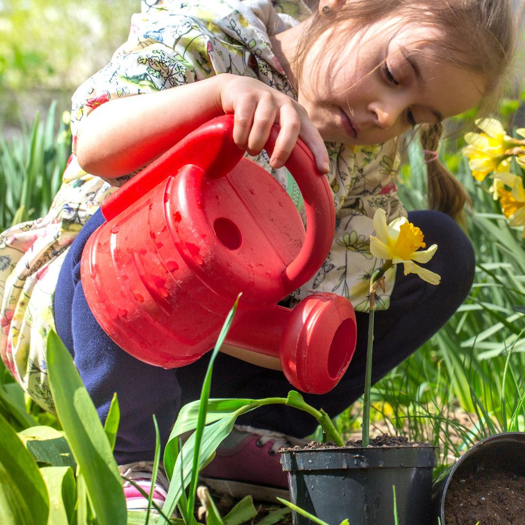 Gardening and Wildlife