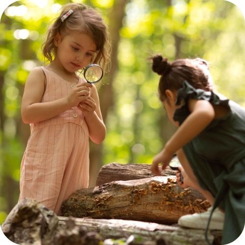 Forest School