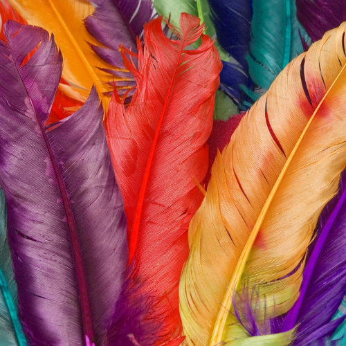 Feathers & Beads
