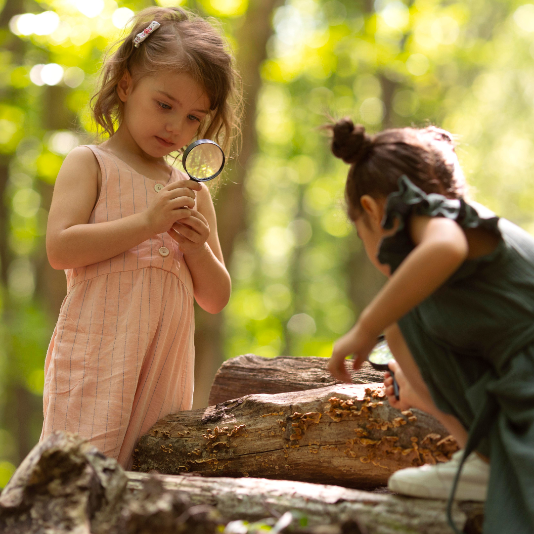 Forest School