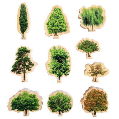 Tree Models Eyfs Wooden Tree Set 10 Piece | Early Years Resources