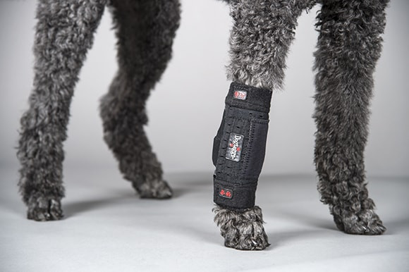 Dog Front Leg Wrap Leg Brace For Lick Granuloma