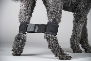 Canine Rear Leg Hobble System