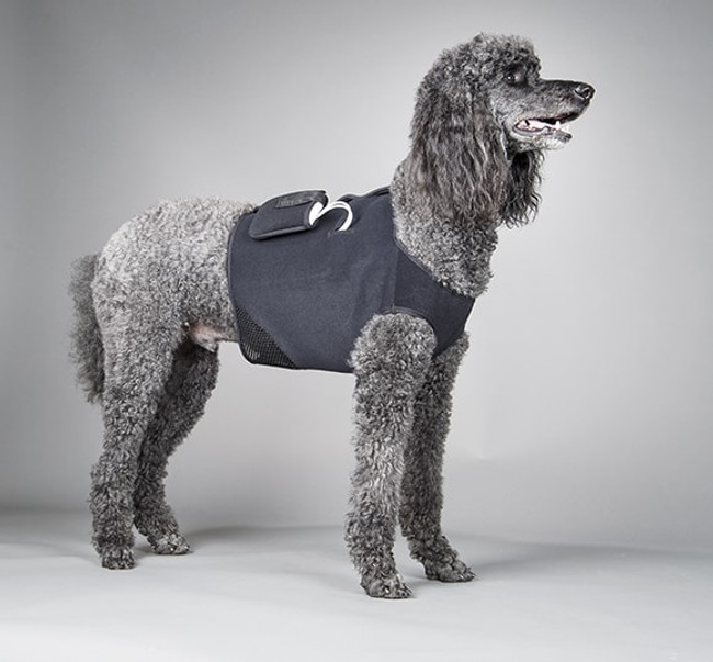 Canine Cardiac Monitoring VEST w/Device Case