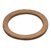 220019979: Aftermarket Yale Gasket - Copper Ring