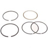 220030453: Aftermarket Yale Piston Ring Set 1 Cyl Std