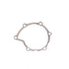 800131700: Aftermarket Totalsource Gasket - Water Pump