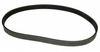 56305242: Advance Aftermarket Belt, Poly