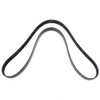 87630521: Aftermarket Case Belt - Serpentine