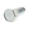 124119: Aftermarket Hyster Screw