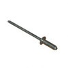 170658: Aftermarket Hyster Rivet