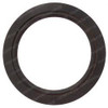 233692: Aftermarket Hyster Ring - Wiper