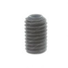 302156: Aftermarket Hyster Screw - Retaining
