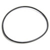 1024365-113: Aftermarket Raymond O-ring