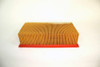 AF25629: Fleetguard Panel Air Filter