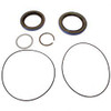 2900034: Aftermarket Gradall Seal Kit Swing Torque Hub