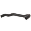 425-34686: Aftermarket Mustang Lower Radiator Hose