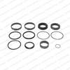 9752100072: Grove / Manlift SEAL KIT - EXTENSION CYLINDER