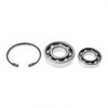 1461567: Aftermarket Hyster Bearing Kit