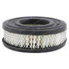 2034940: Aftermarket General Motors Filter - Air