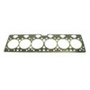 301731: Aftermarket Hyster Gasket - Head