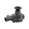 3045361: Aftermarket Hyster Forklift Pump - Water