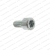 0000-000077-00: EP Forklift SCREW