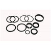 2900381: Aftermarket JLG Seal Kit