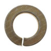 303269: Aftermarket Cushman Washer- Spring Lock