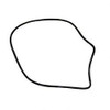 3790159: Aftermarket Gradall O-ring