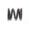 7007905: Aftermarket Gradall Spring