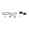 7013701: Aftermarket JLG Seal Kit