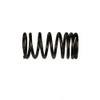 220005995: Aftermarket Yale Spring - Valve Inner
