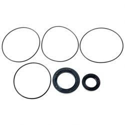 220019943: Aftermarket Yale Seal Kit - Steering Gear