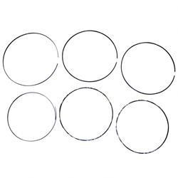 800041490: Aftermarket Totalsource Ring Set - Bearing