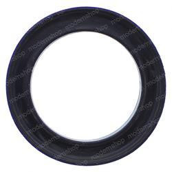 800125599: Aftermarket Totalsource Seal - Dust