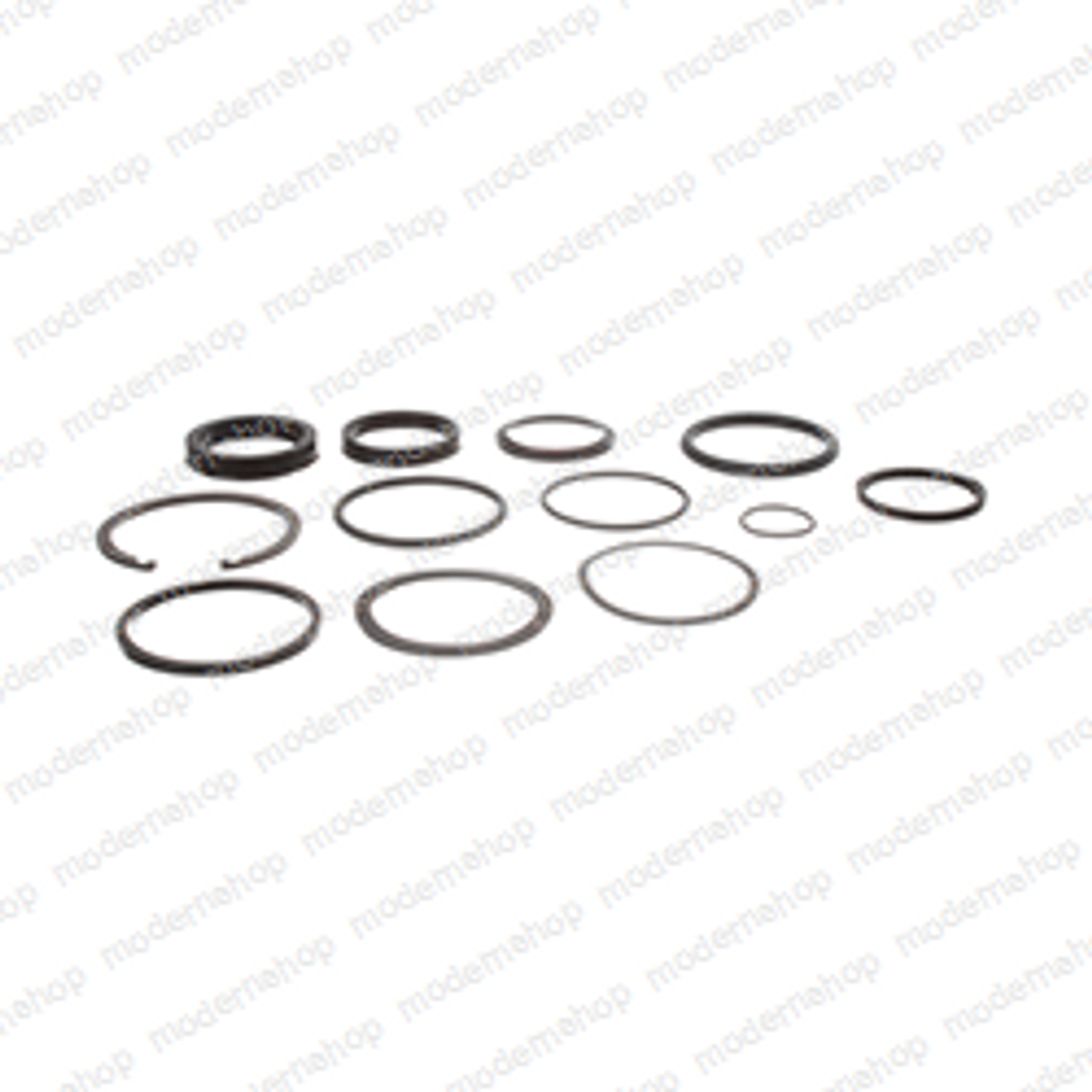 1189-0EG: Teledyne Princeton Forklift SEAL CYL KIT