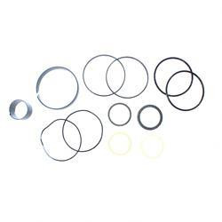 1542919C4: Aftermarket Case Seal Kit