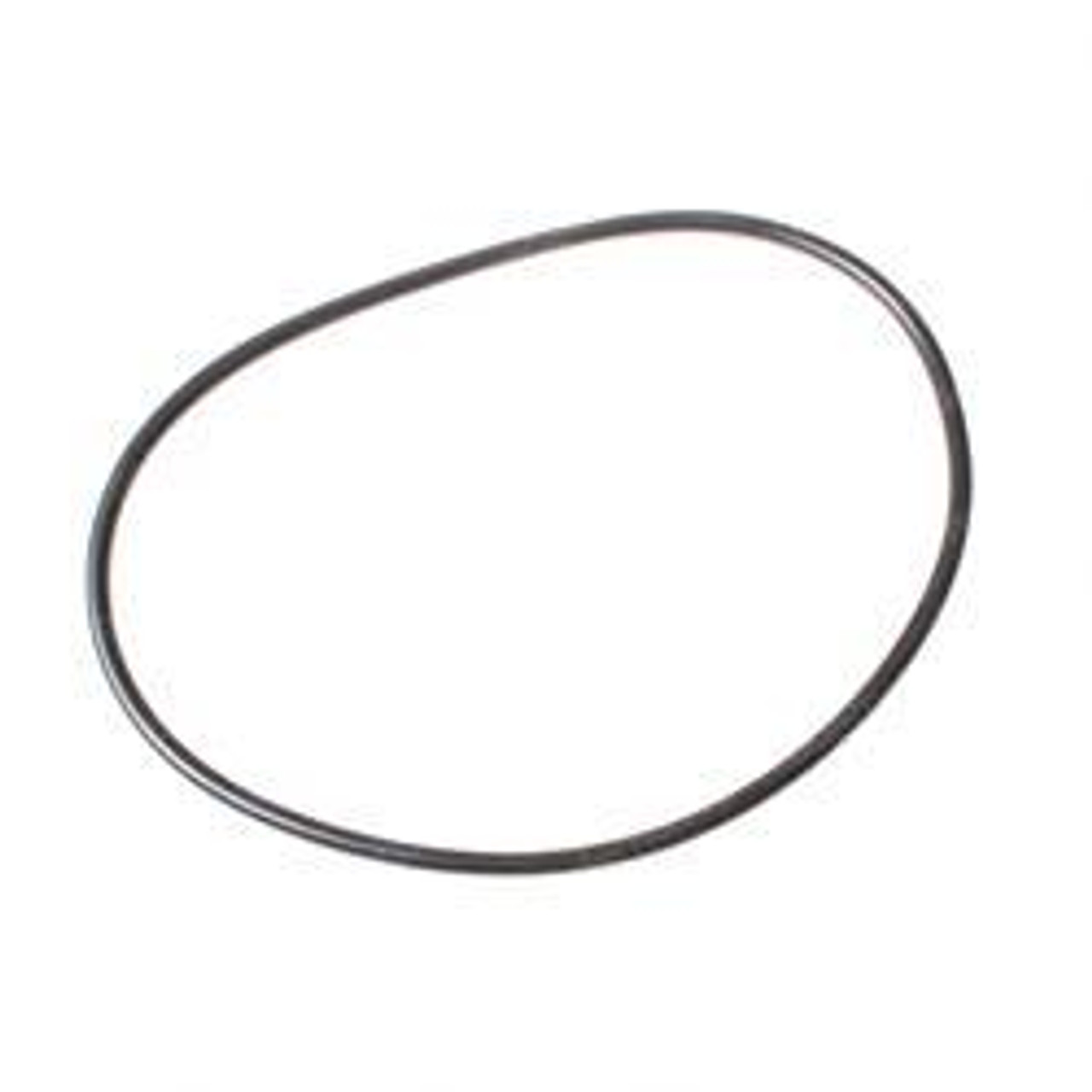 E135034: Aftermarket Case O-Ring