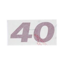 2020516: Aftermarket Hyster Decal - Model