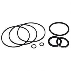 314993: Aftermarket Hyster Seal - Kit Hydr.