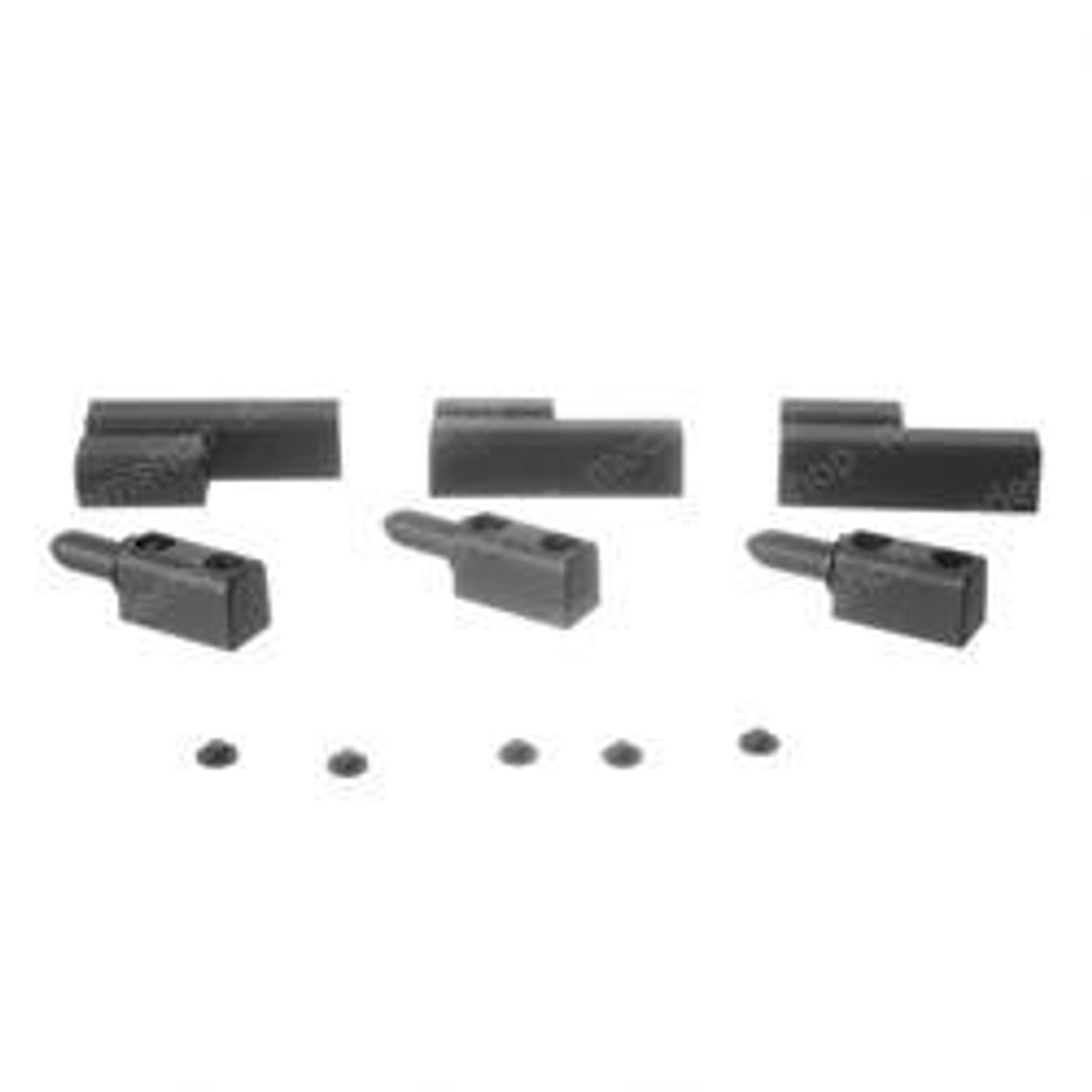 627-102: Aftermarket Teledyne Princeton Hinge Kit - Rear Door