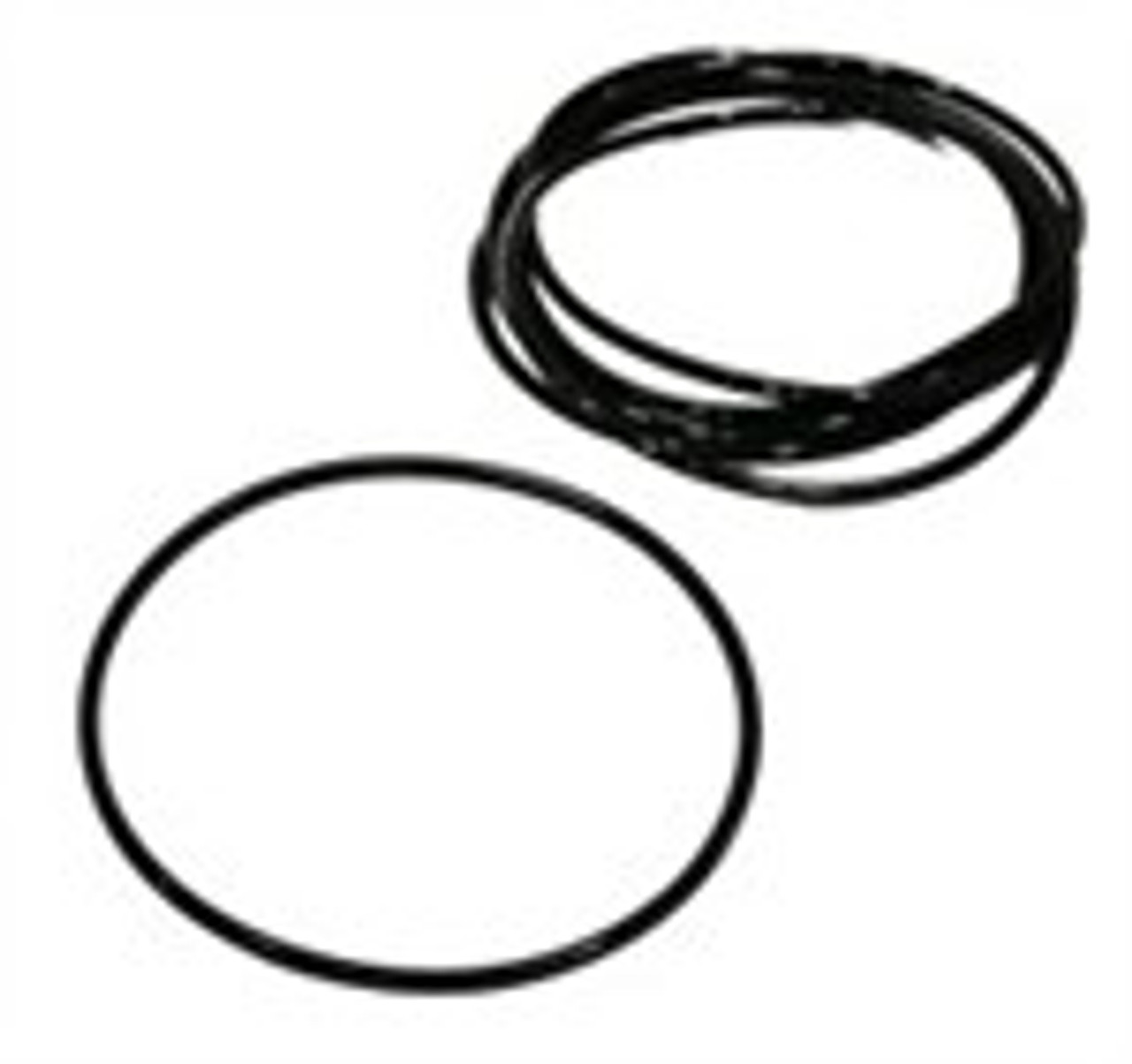 3894973S: Fleetguard Service Gasket (GASKET/O-R)